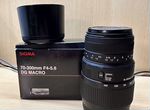 Sigma 70-300mm f4-5,6 DG macro (Canon EF)