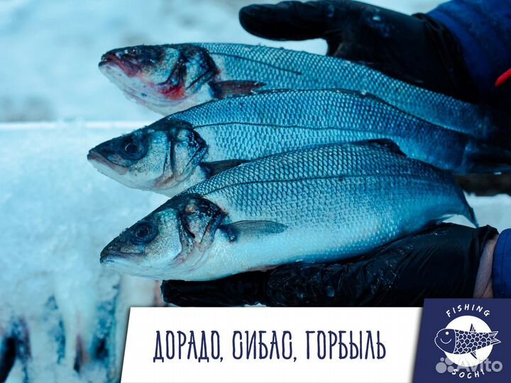 Краб стригун (конечности)