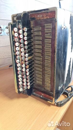 Баян тульский