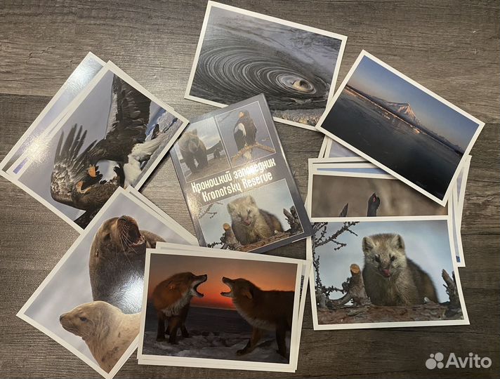 Почтовые открытки Камчатка