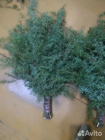 Банное ассорти