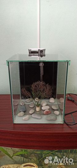 Аквариум