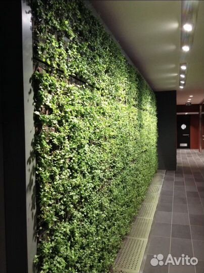 Фитостена, искуственное озеленение