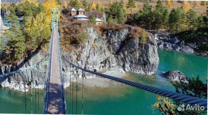 Тур поездка Алтай лето программы 4-7 дней