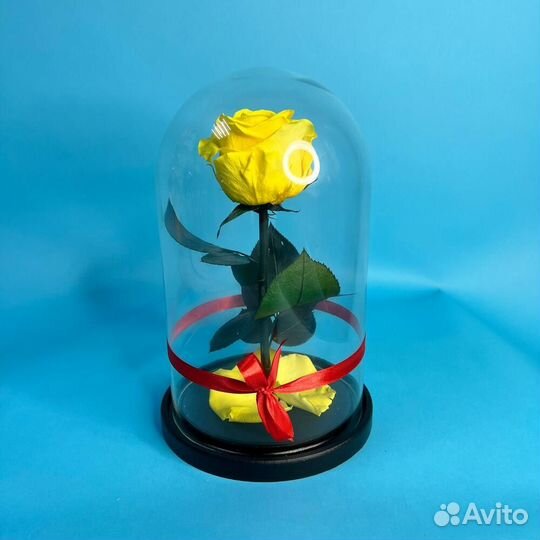 Стабилизированные розы в колбе