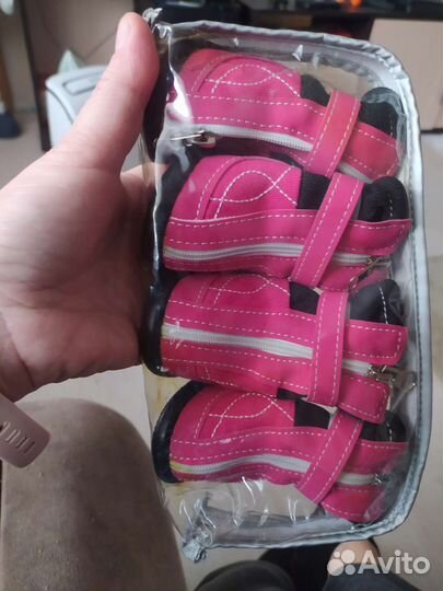 Обувь для собак мелких пород