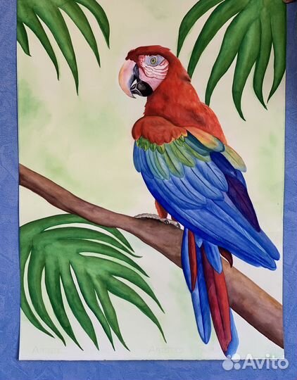 Картина «Тропический попугай», 50*70 см, акварель