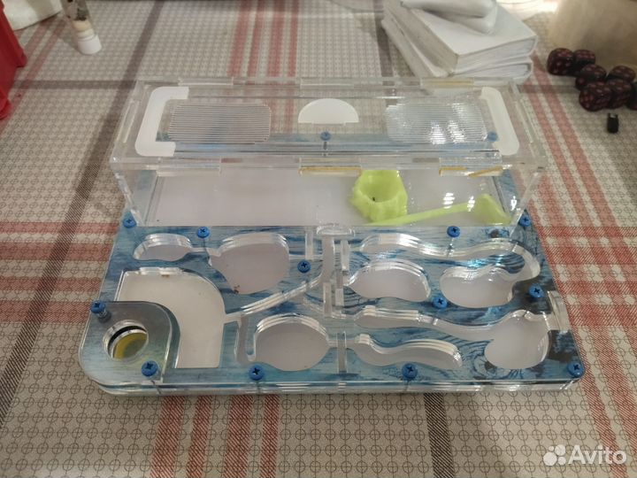 Муравьиная ферма