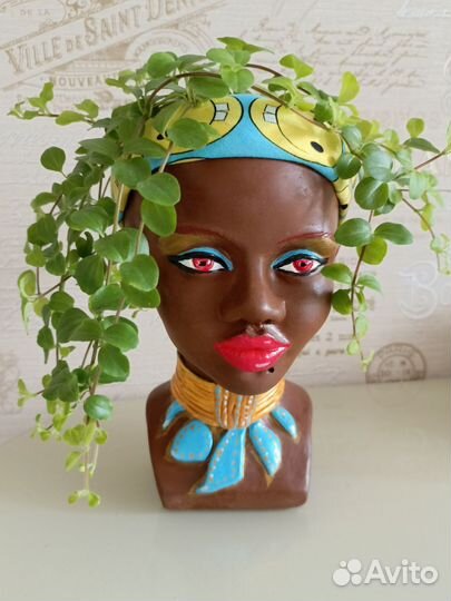 Ампельные растения в кашпо