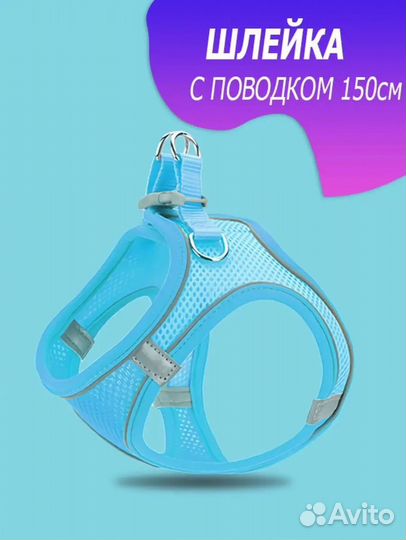 Шлейка с поводком