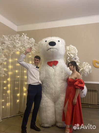 Поздравление белого мишки