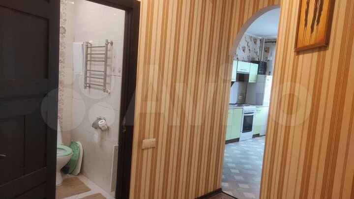 1-к. квартира, 43 м², 13/17 эт.