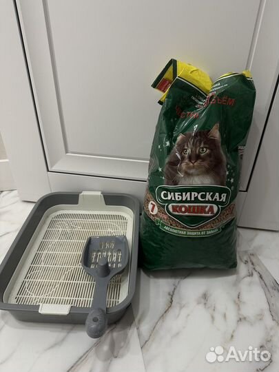 Лоток для кошек бу