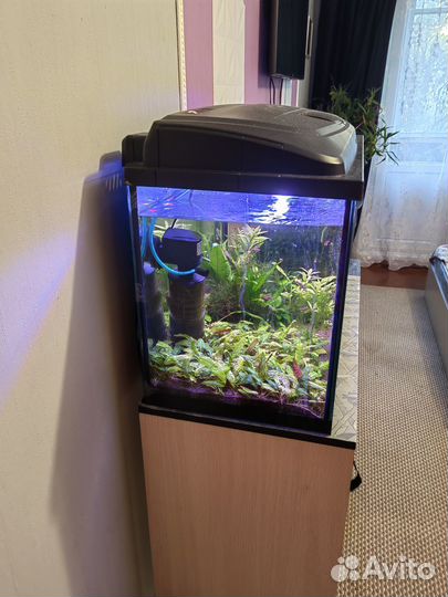 Аквариум