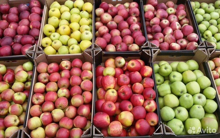 Яблоки оптом и в розницу