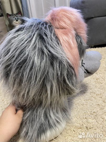 Фурсьют ангельского дракона. Фурри