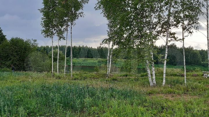 Участок 10 сот. (ИЖС)