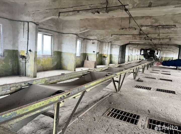 Элеватор. Готов к работе