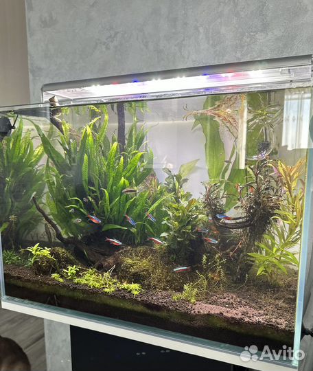 Аквариум с тумбой