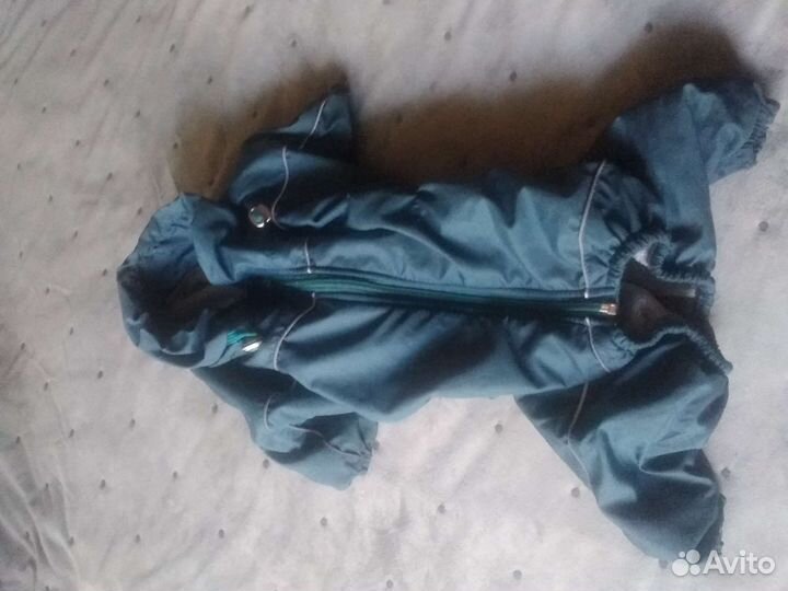 Комбинезон для собаки мопс, Франц.бульдог