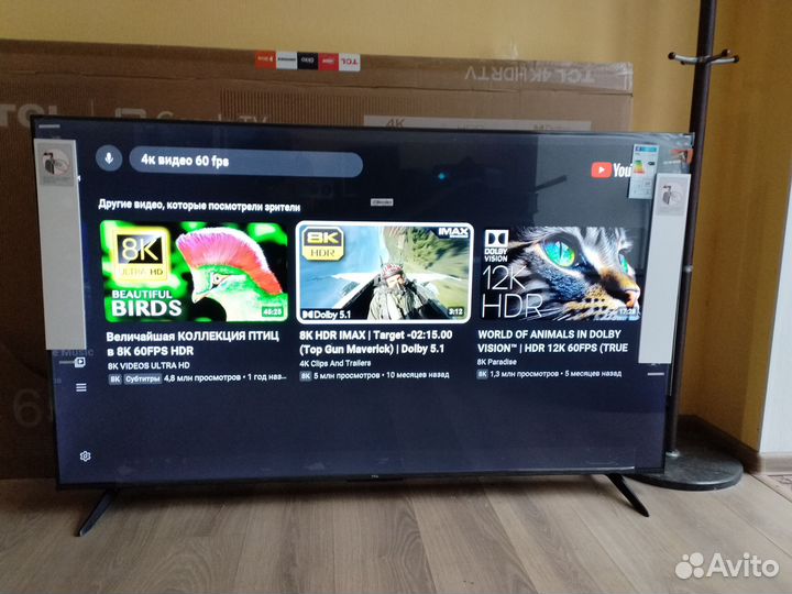 Телевизор TCL 65