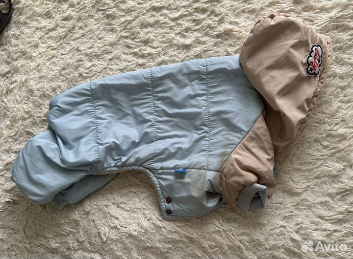 Костюм для собаки