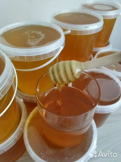 Майский мёд 2023