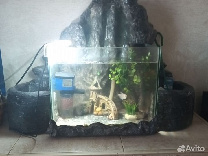 Аквариум