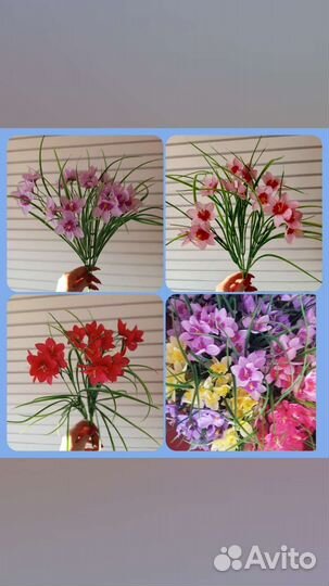 Цветы к Пасхе