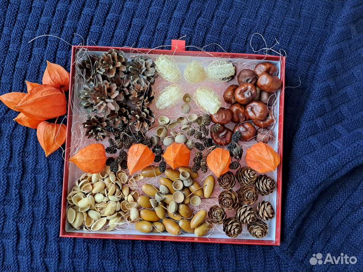 Природные материалы для поделок в сад в школу