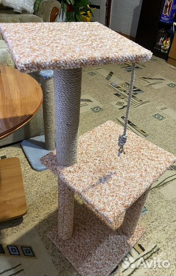 Когтеточка