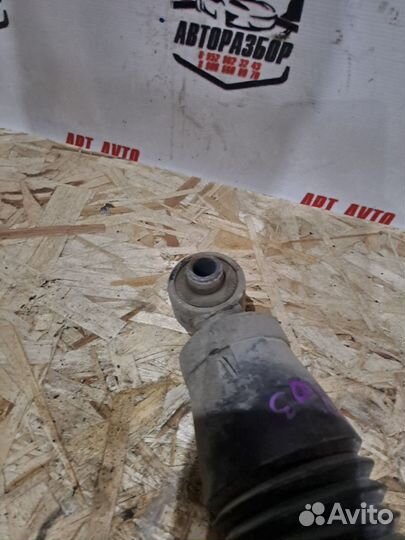 Амортизатор задний Kia Rio 3