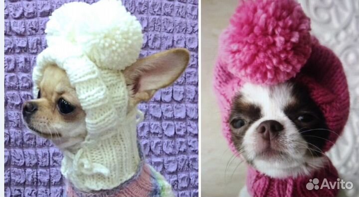 Разные товары для собачек меленьких пород