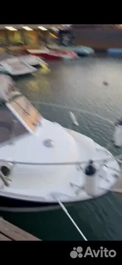 Катер bayliner trophy