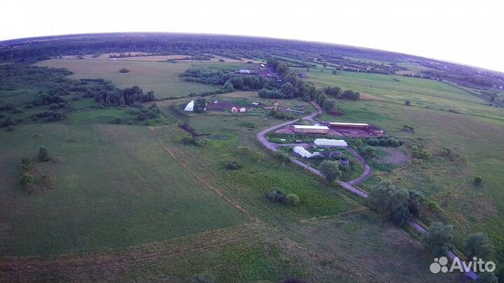 Крестьянское фермерское хозяйство, кфх