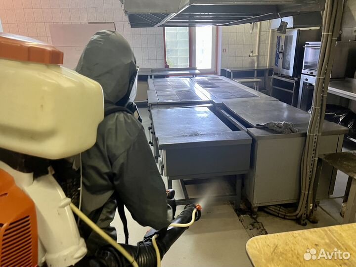 Уничтожение клопов, тараканов. Дезинфекция