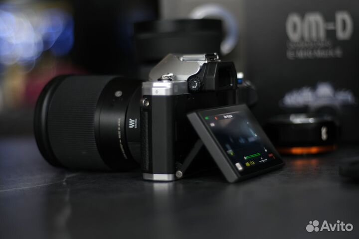 Камера Olympus OM-D E-M10 Mark III
