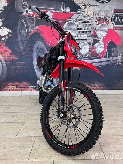 Питбайк Regulmoto seven medalist PRO 19/16