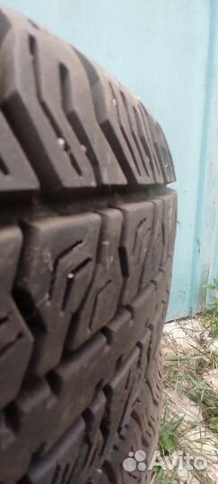 Berlin All Season 1 175/70 R13