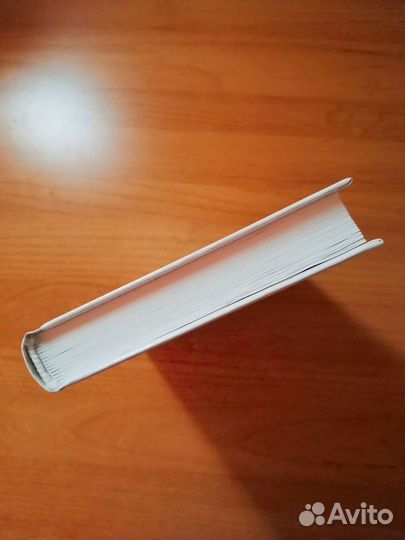 Суржевская Тринадцатый Странник