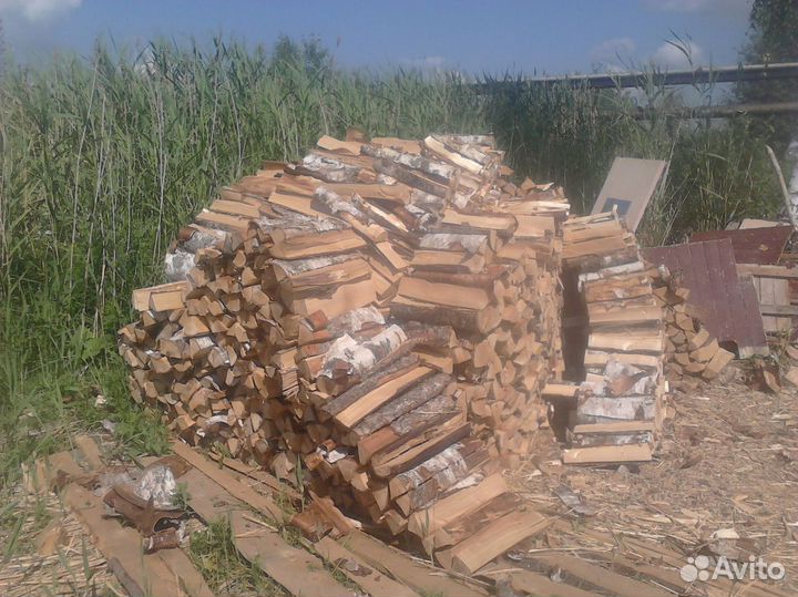 Дрова береза