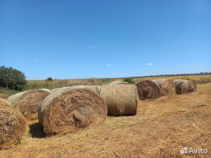 Сено в тюках