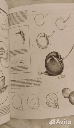 Учебное пособие 