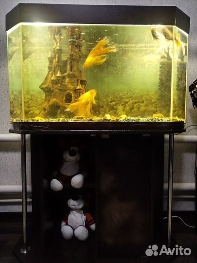 Аквариум с тумбой 300 литров