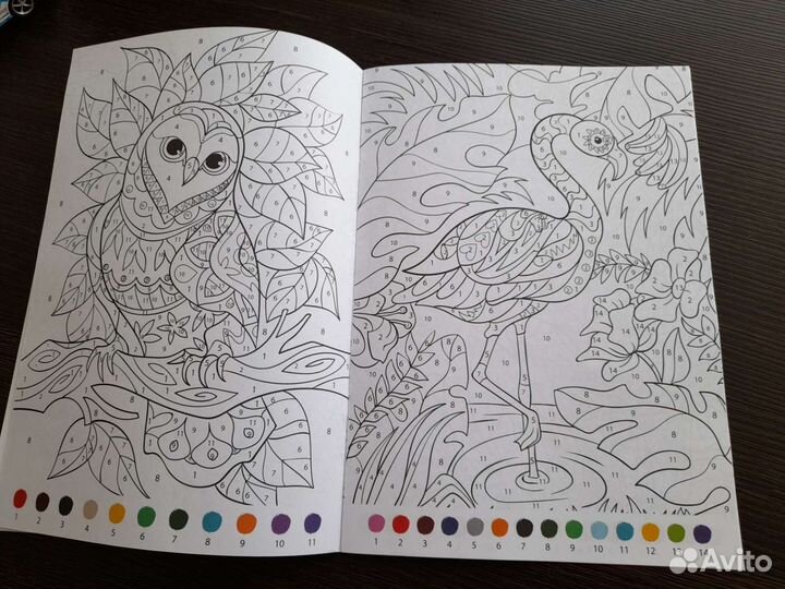 Новая раскраска по номерам А4