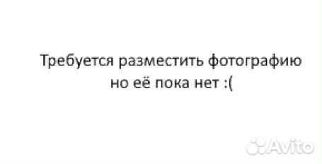 Отдам бесплатно 2-х котят