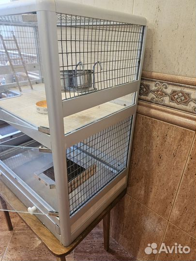 Клетка витрина для грызунов