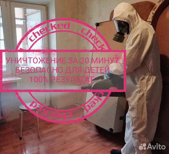 Уничтожение тараканов клопов и грызунов