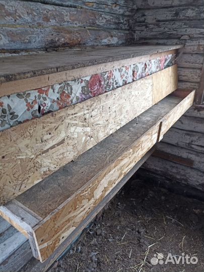 Гнездо для кур с яйцесборником