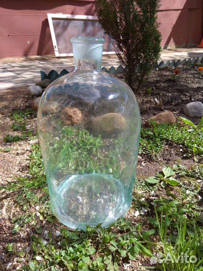 Банка стеклянная